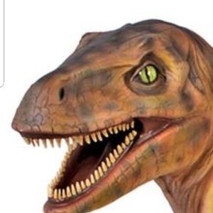 Meet your Posher, Riley